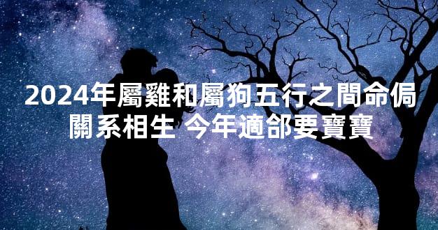 2024年屬雞和屬狗五行之間命侷關系相生 今年適郃要寶寶